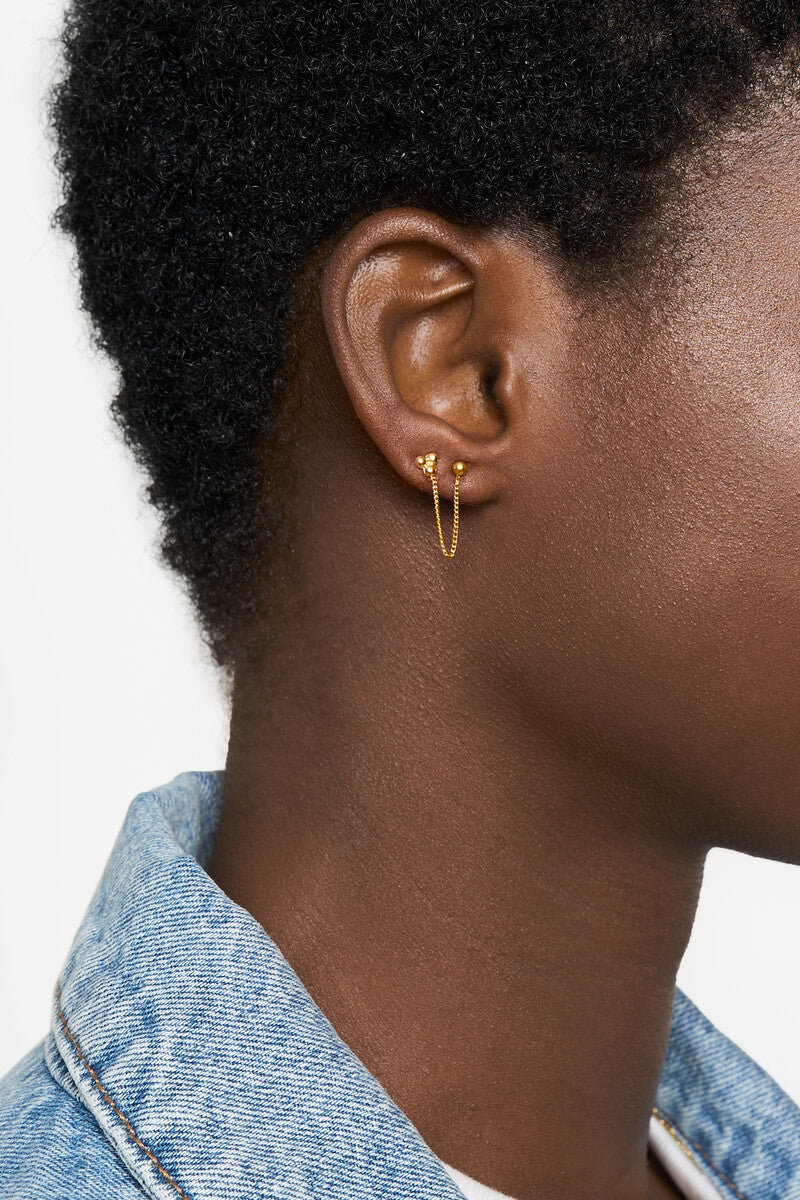 puce d'oreille