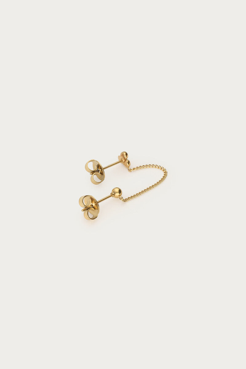 puce d'oreille